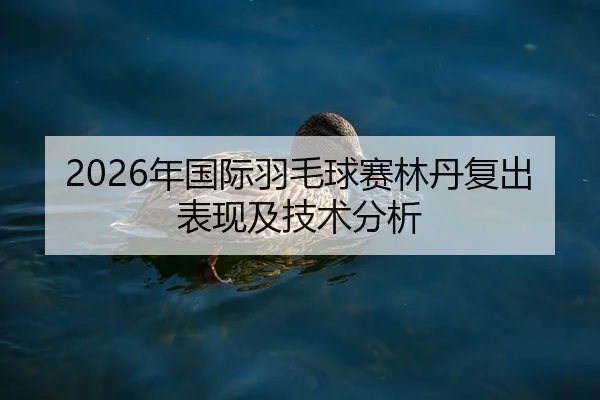 nian-guo-ji-yu-mao-qiu-sai-lin-dan-fu-chu-biao-xian-ji-ji-shu-fen-xi-2-993.jpg