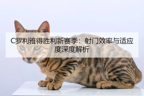 C罗利雅得胜利新赛季：射门效率与适应度深度解析
