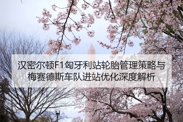 han-mi-er-dun-xiong-ya-li-zhan-lun-tai-guan-li-ce-lve-yu-mei-sai-de-si-che-dui-jin-zhan-you-hua-shen-du-jie-xi-2-908.jpg