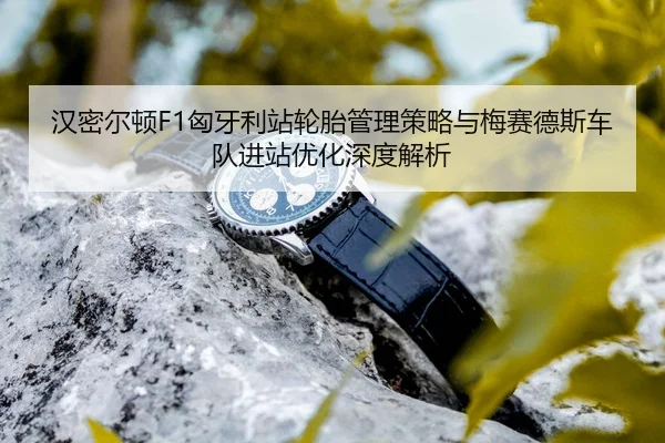 han-mi-er-dun-xiong-ya-li-zhan-lun-tai-guan-li-ce-lve-yu-mei-sai-de-si-che-dui-jin-zhan-you-hua-shen-du-jie-xi-3-144.jpg