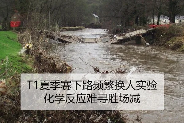 xia-ji-sai-xia-lu-pin-fan-huan-ren-shi-yan-hua-xue-fan-ying-nan-xun-sheng-chang-jian-3-822.jpg